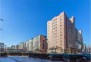 河南使用剥壳机单价